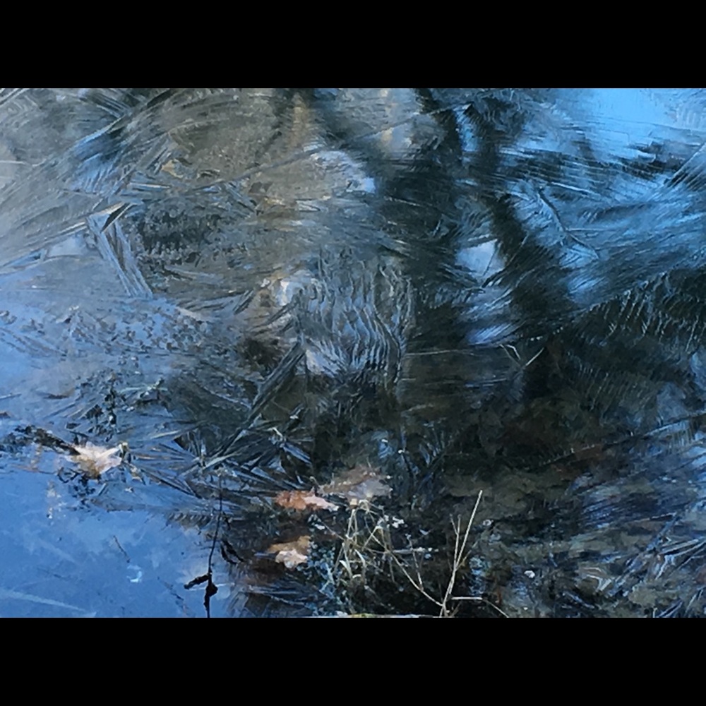 Meet your Posher, Kendra